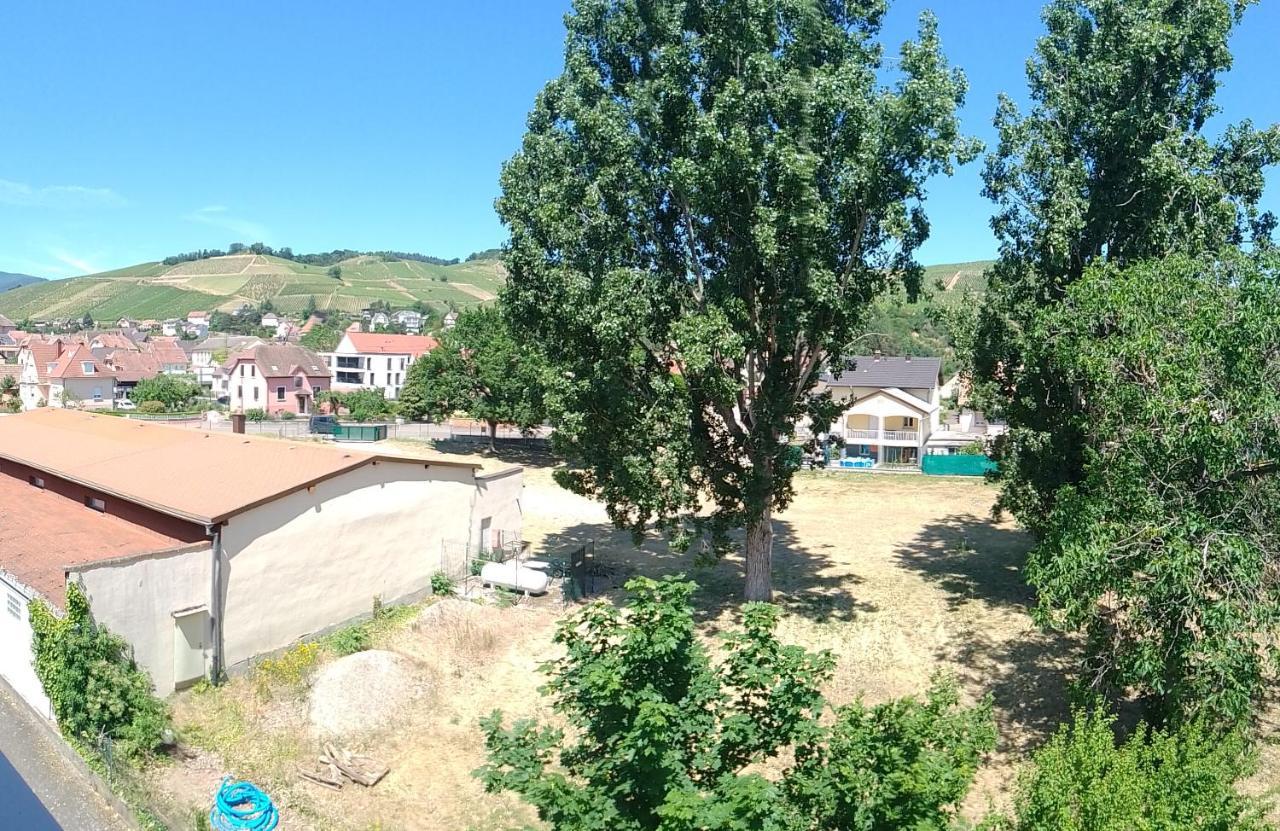 Appartement Avec Balcon : Le Serenity テュルクアイム エクステリア 写真