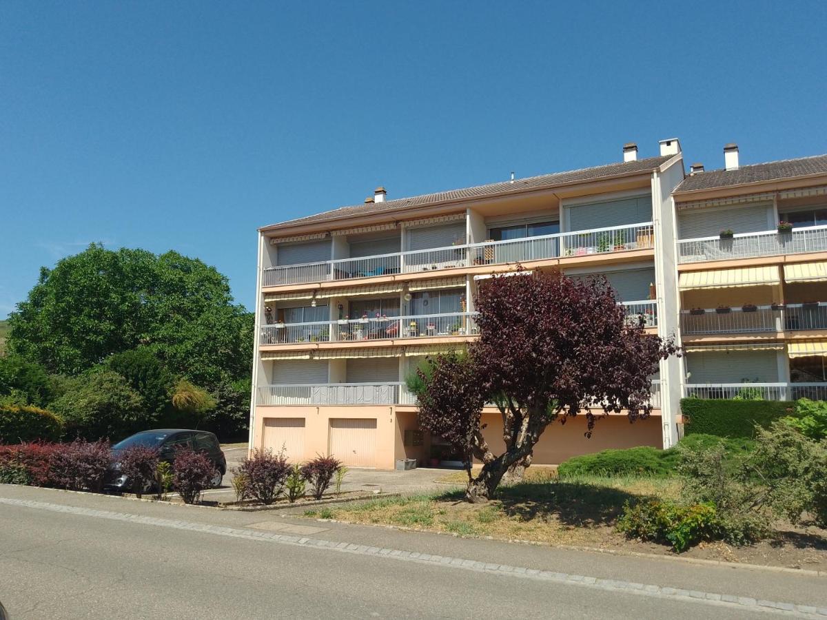 Appartement Avec Balcon : Le Serenity テュルクアイム エクステリア 写真